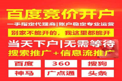某企业通过SEM运营实现业绩翻倍的秘诀