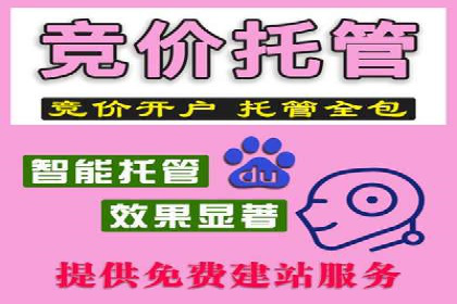 如何做SEM：从案例看策略制定与实施